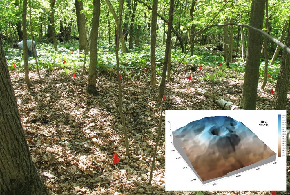 Annular Mounds at Perch Lake