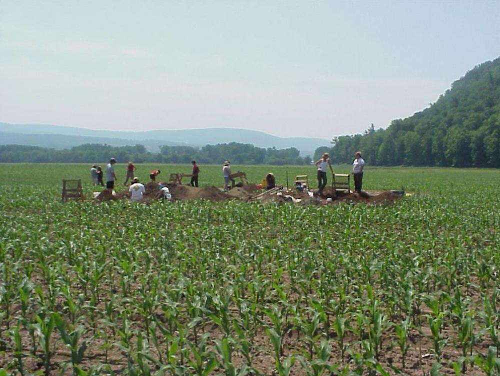 people doing archaeology in field 