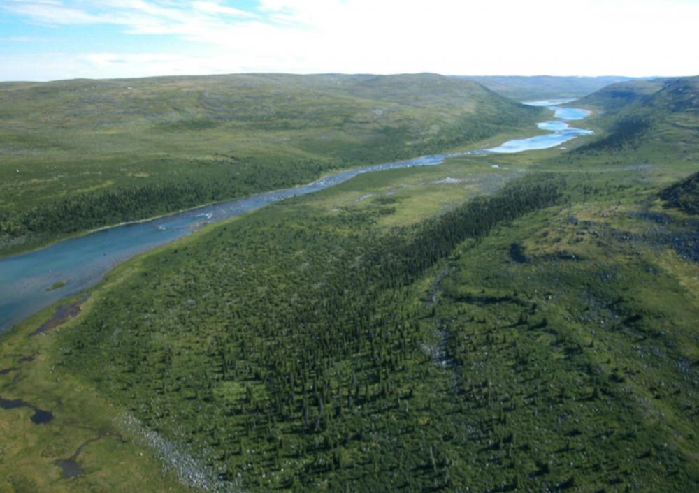 Late Pleistocene Pathways