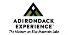 Adirondack Experience Logo