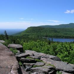 Adirondack Landscape 