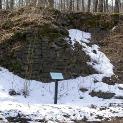 stone wall in woods 