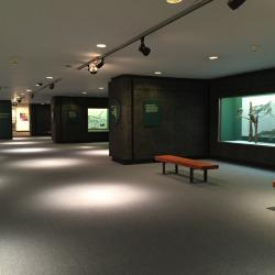 Bird Hall - Original Gallery View