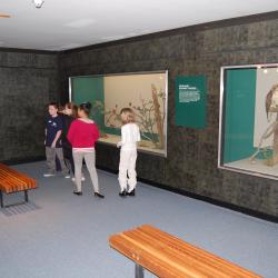 Bird Hall - Original Gallery View