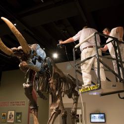 Bernard Means 3-D scan of Cohoes Mastodon