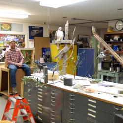 Bird Hall Gallery Renovations
