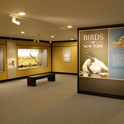 Bird Hall