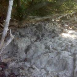 Garvies Point rocky outcrop