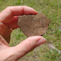Pottery sherd found at the site.