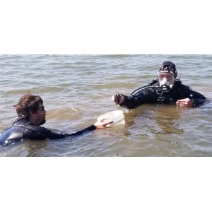 Divers Collecting Tagged Mussels