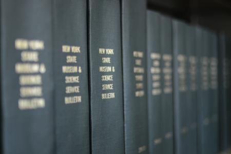 Books on a shelf