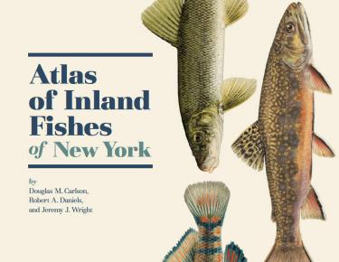 Fish Atlas