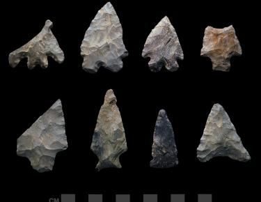 Projectile Points from the McVaugh Collection