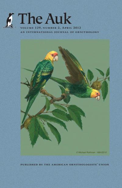 Carolina Parakeet illustration