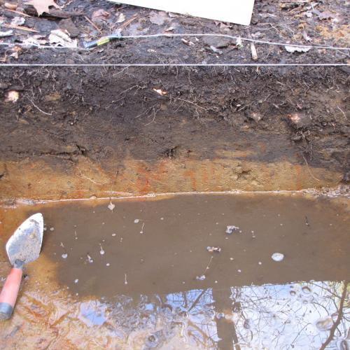 MDB Web Stratigraphy, Shallow Groundwater