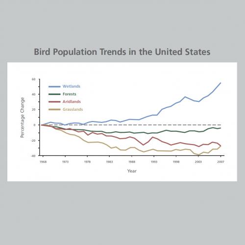 Bird Population Trends in the US 1968-2007 