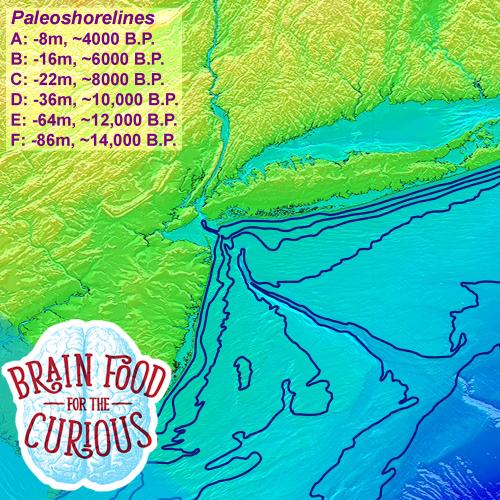 Brainfood logo - Submerged Landscapes