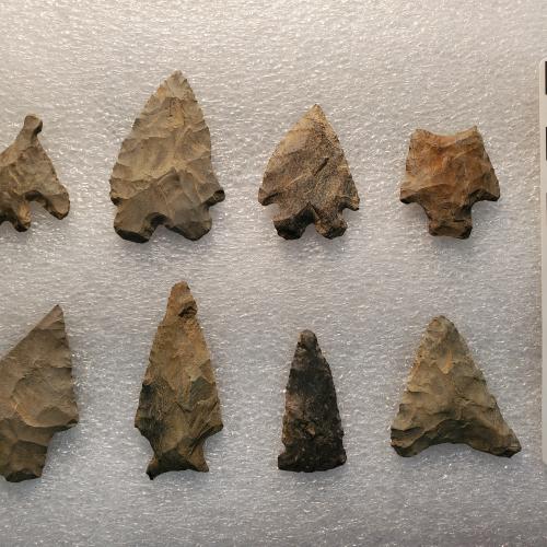 Here are some examples of Native American projectile points in the recently donated McVaugh collection. 