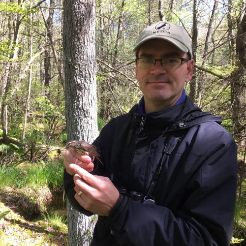 Jeremy Kirchman, Peebles Island Bird Walk