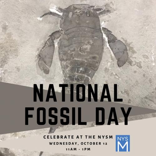 National Fossil Day, Eurypterid