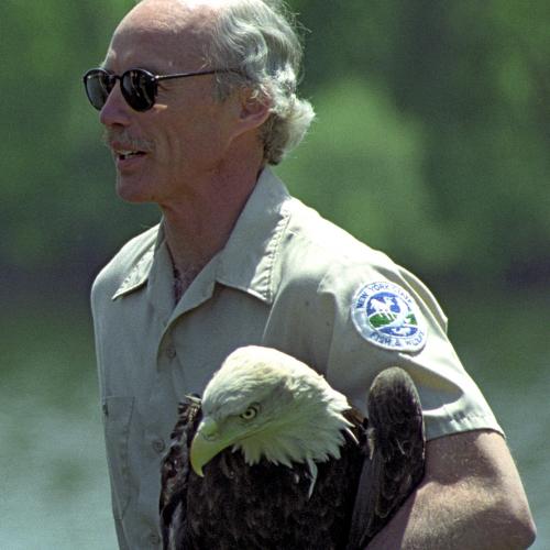 Peter Nye with a Bald Eagle