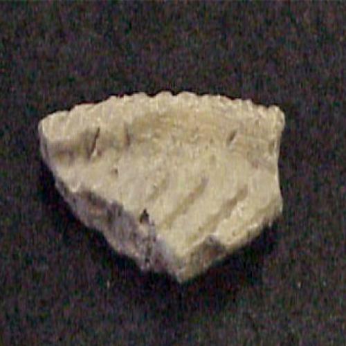 Pethick Site - Sherd