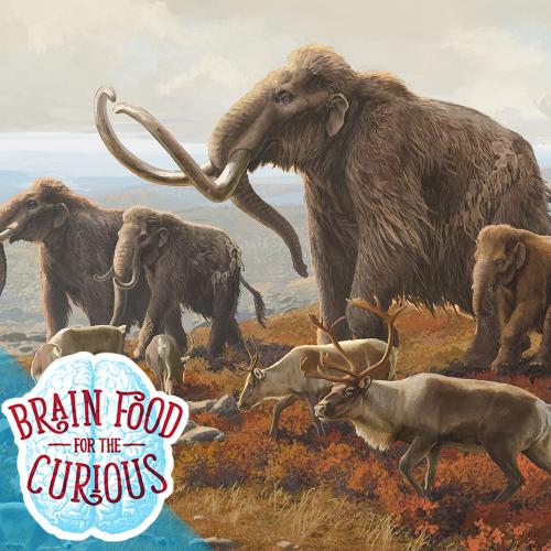 Brainfood Logo with Mammoths and Elk