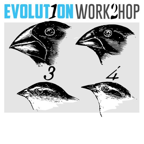 Evolution Workshop