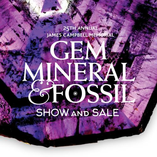 Gem and Mineral Show