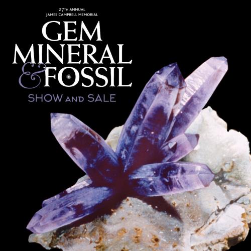 Gem and Mineral Show 2020