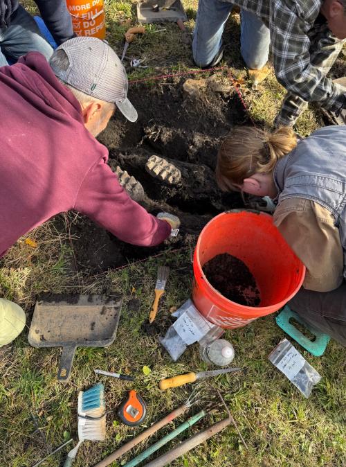 A group of people excavating mastodon teeth from the ground