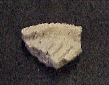 Pethick Site - Sherd