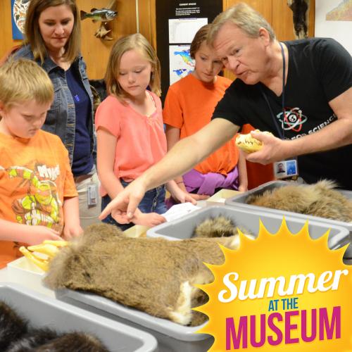 Summer at the Museum - Birds and Mammals