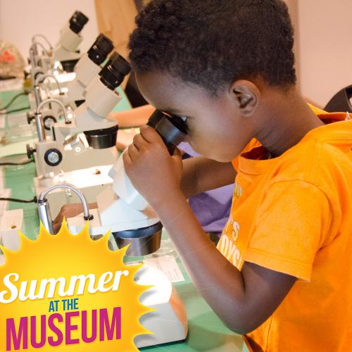 Boy looking in a microscope