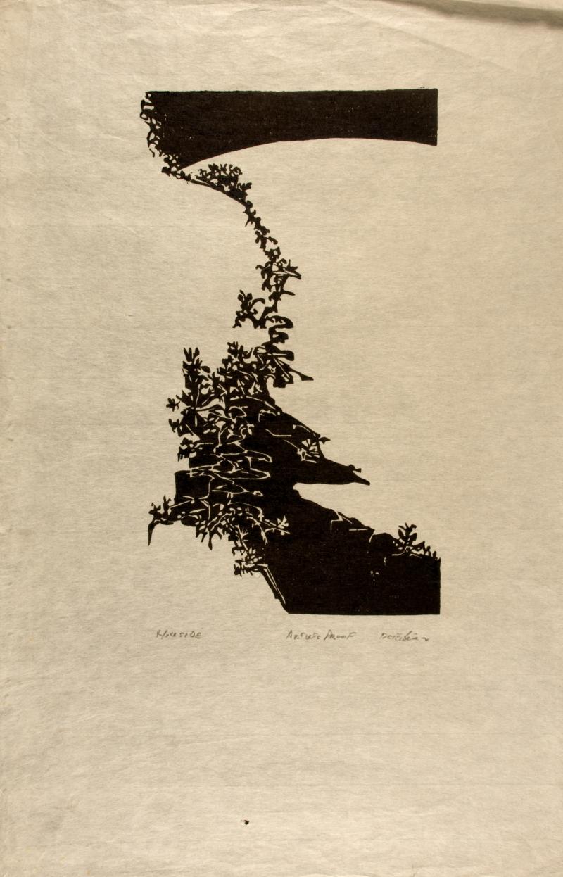 Hillside